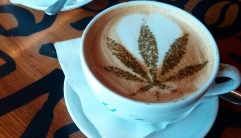 Illustration for article titled CBD COFFEE-A BLISSFUL BLEND